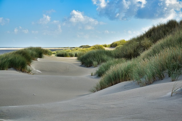 sand, beach, nature