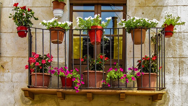 balcony, window, flowers